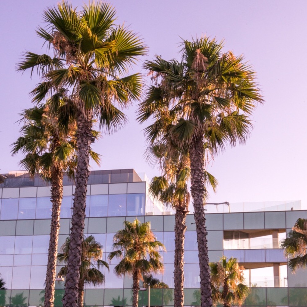 Meet your Posher, Tatyanna